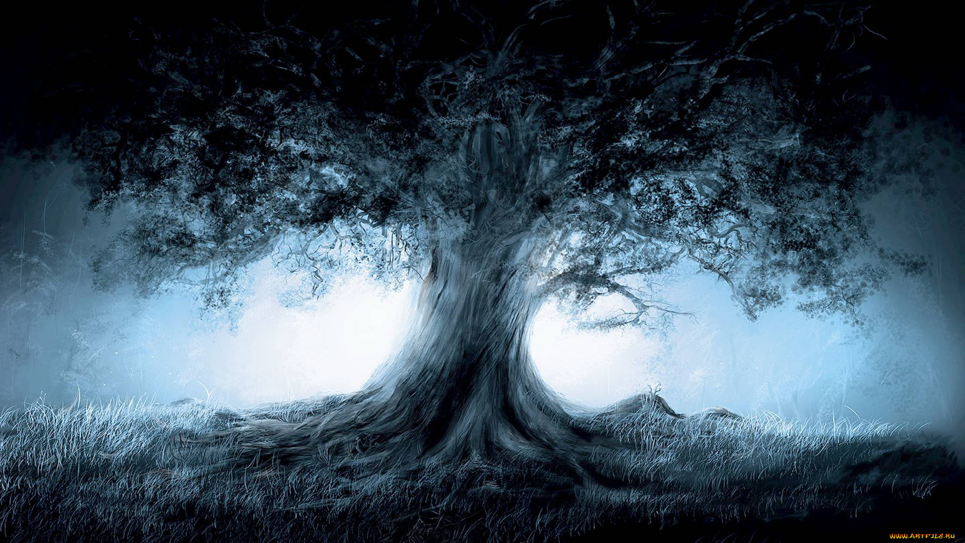 3, , nature, landscape, , 
